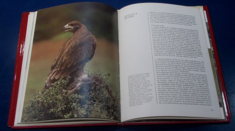 ENCICLOPEDIA DE LA NATURALEZA ADENA 24V (2)